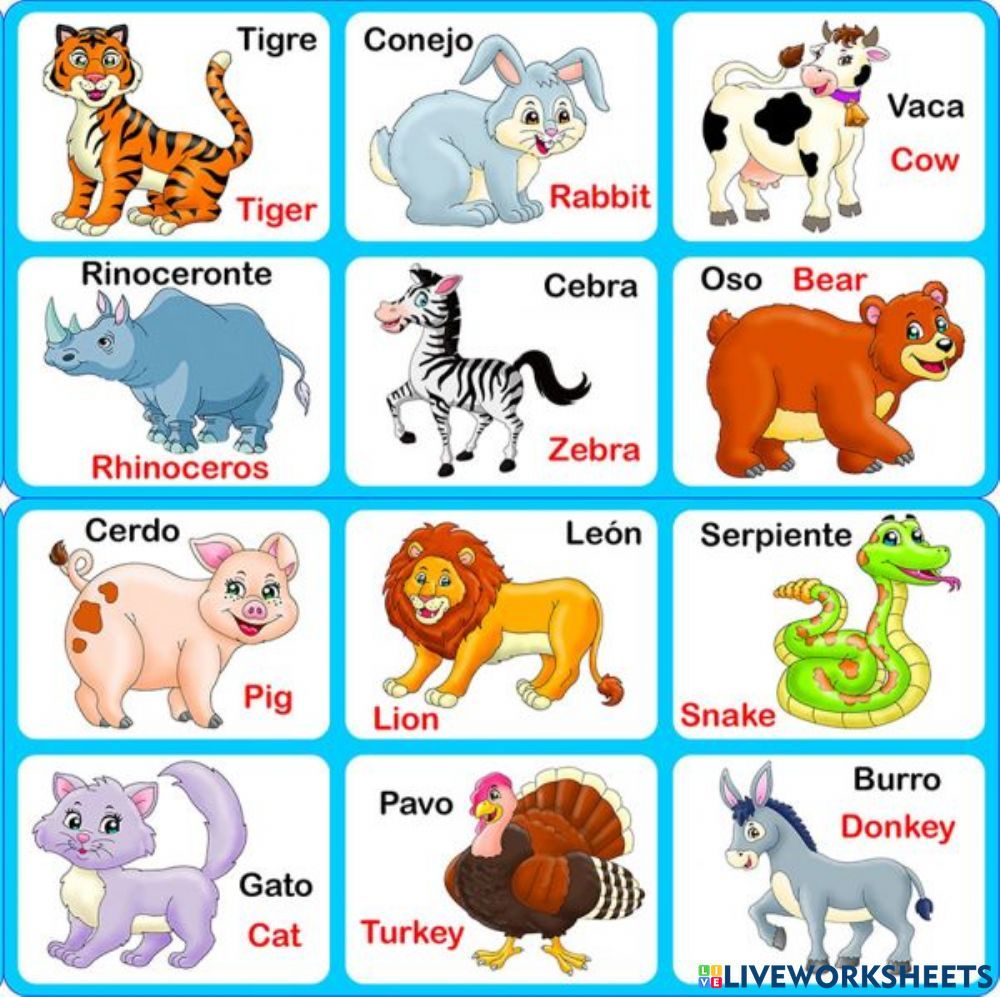 +70 Tarjetas para aprender a Hablar Inglés y Español